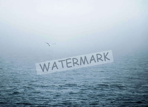 Watermark Photo